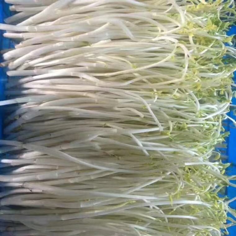 溧阳白水芹