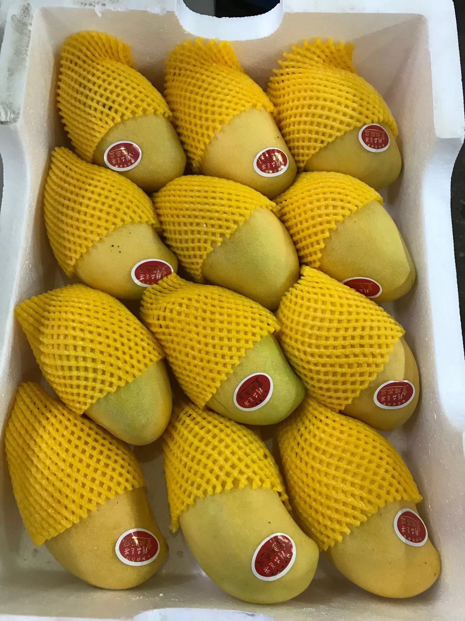 黄芒果